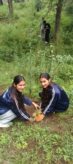 Plantation Drive By NSS 8 August 2026